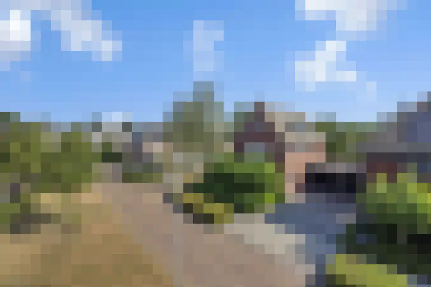 Biezenloop 126 Heesch thumbnail 51