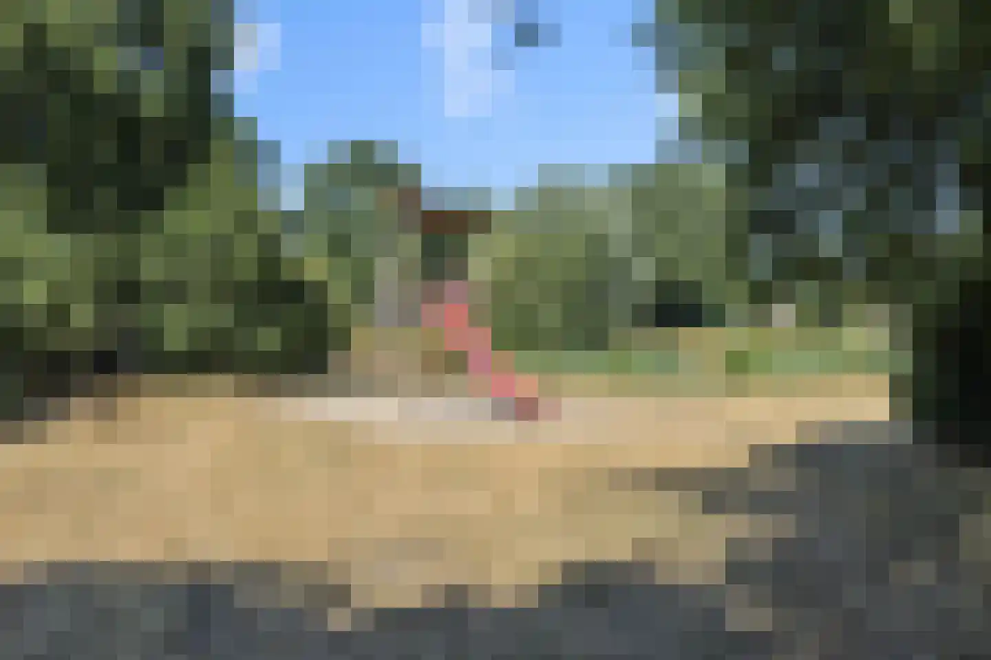 Biezenloop 126 Heesch thumbnail 52