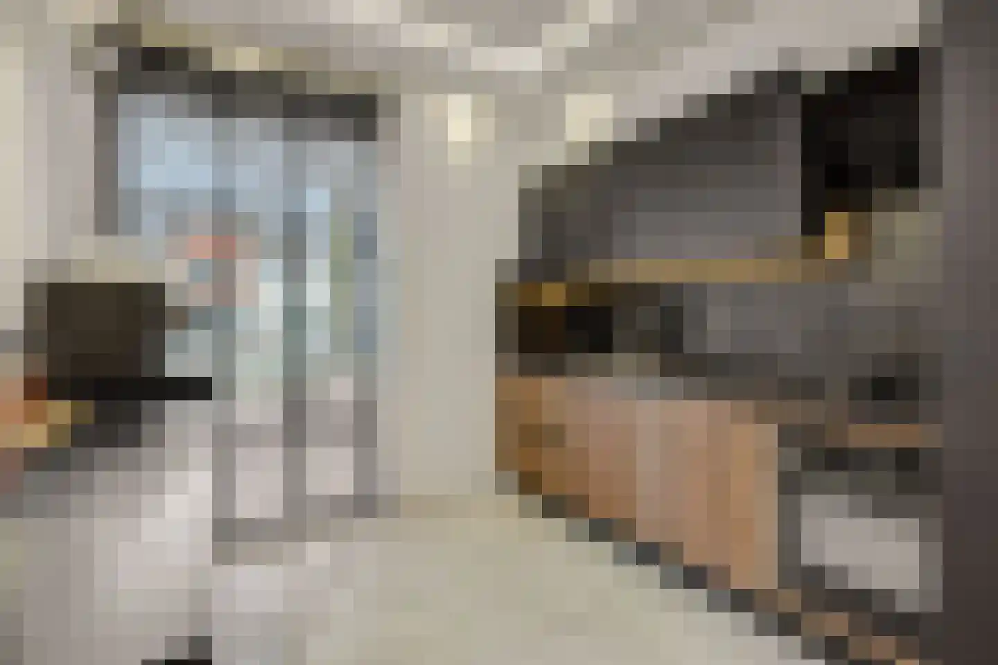 Biezenloop 25 Heesch thumbnail 10