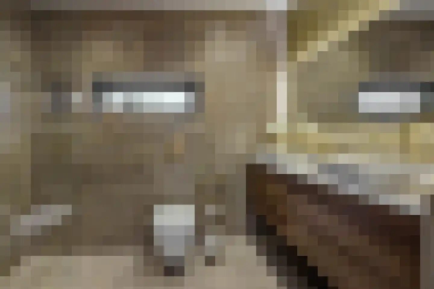Biezenloop 25 Heesch thumbnail 22