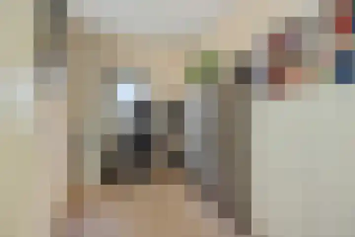 Biezenloop 27 Heesch thumbnail 19