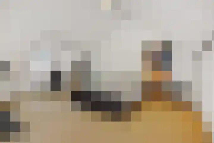 Biezenloop 27 Heesch thumbnail 23