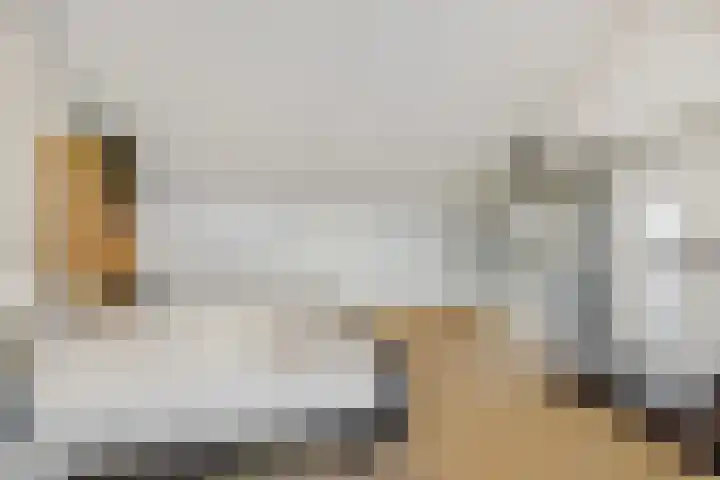 Biezenloop 27 Heesch thumbnail 24