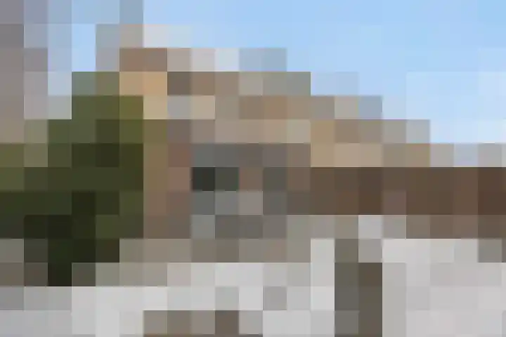 Biezenloop 27 Heesch thumbnail 27