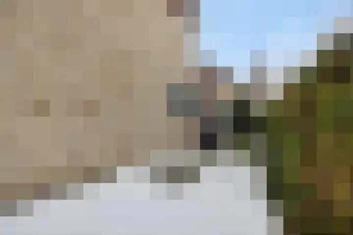 Biezenloop 27 Heesch thumbnail 29