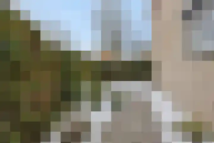 Biezenloop 27 Heesch thumbnail 30