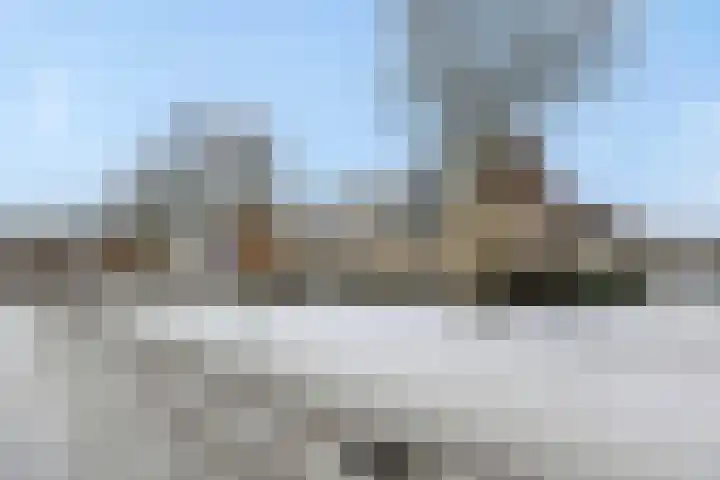 Biezenloop 27 Heesch thumbnail 33