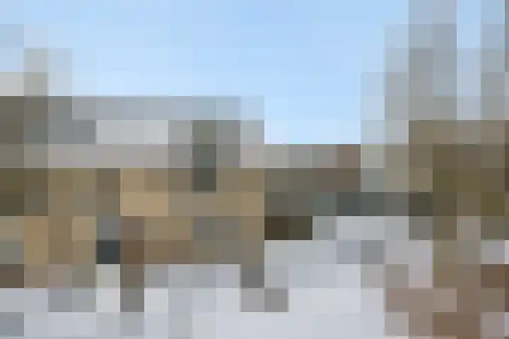 Biezenloop 27 Heesch thumbnail 38
