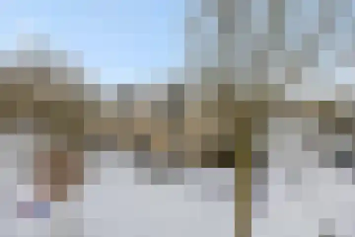 Biezenloop 27 Heesch thumbnail 39