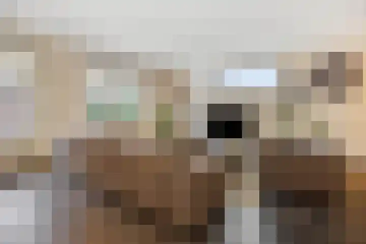 Biezenloop 27 Heesch thumbnail 4