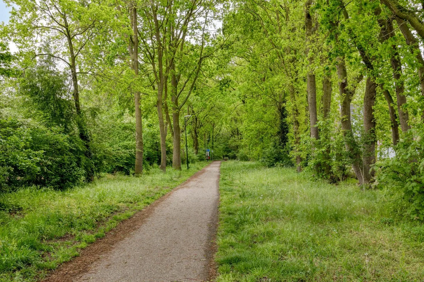Biezenloop 37 Heesch thumbnail 33