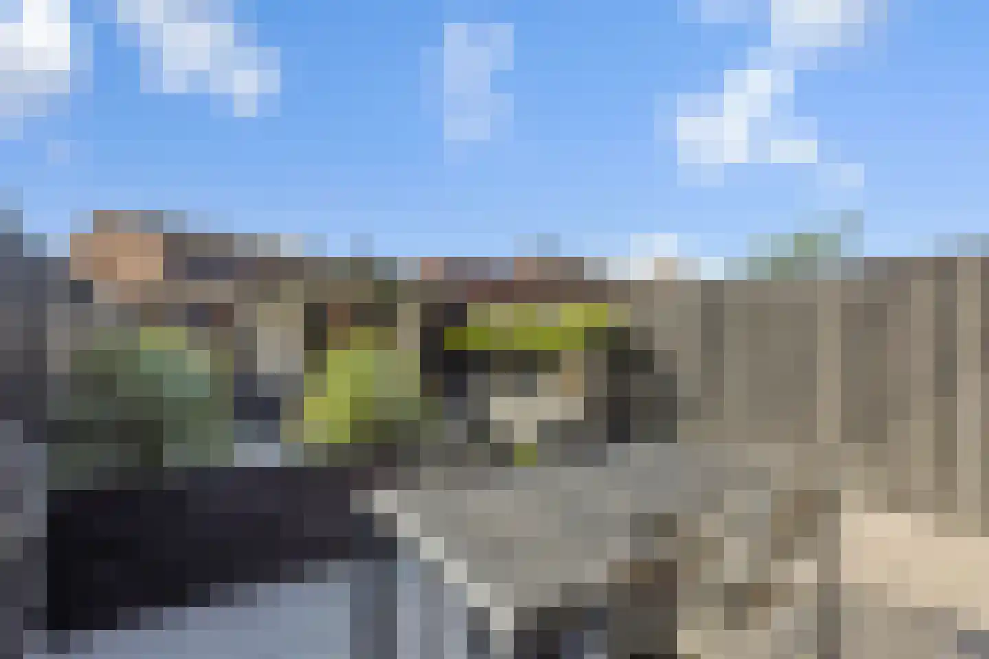 Biezenloop 62 e Heesch thumbnail 29