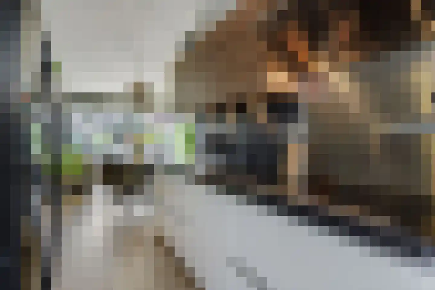 Biezenloop 62 e Heesch thumbnail 7