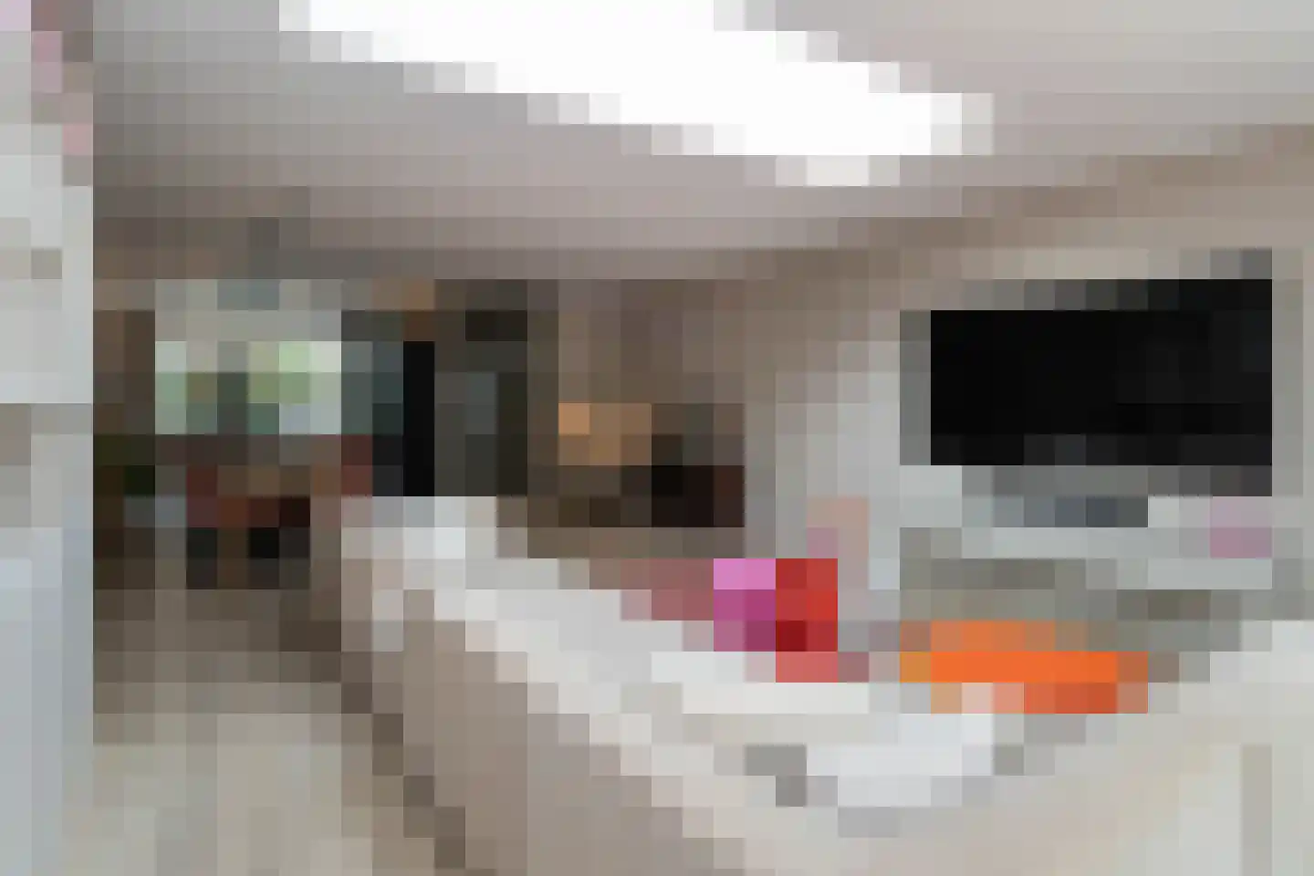 Biezenmeent 51 Hilversum thumbnail 9