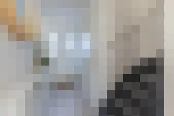 Biezenmeent 56 Hilversum thumbnail 21