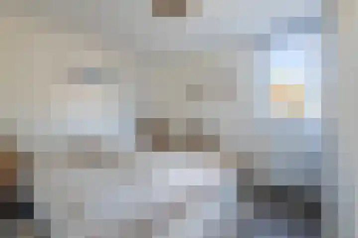 Biezenmeent 56 Hilversum thumbnail 26