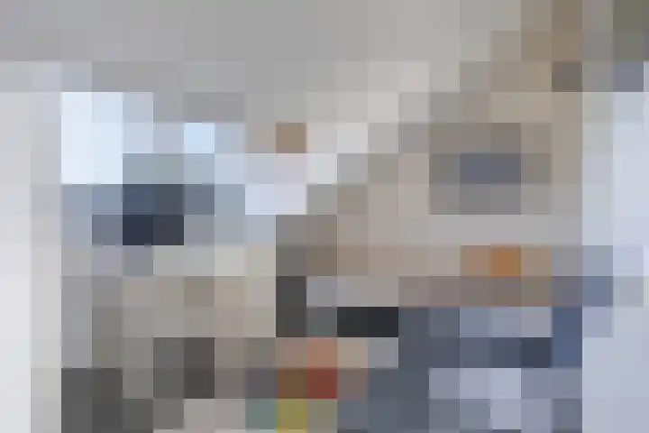 Biezenmeent 56 Hilversum thumbnail 36