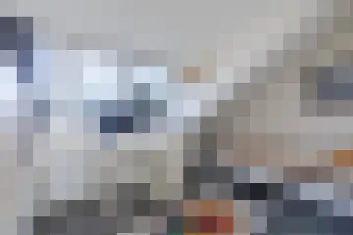 Biezenmeent 56 Hilversum thumbnail 37