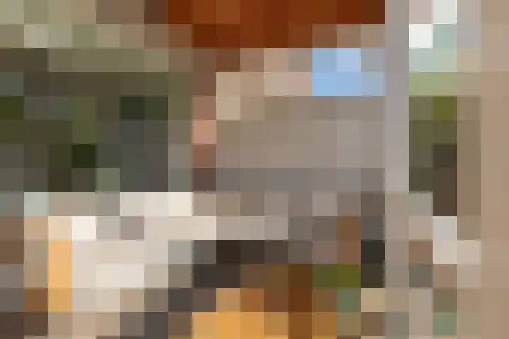 Biezenmeent 56 Hilversum thumbnail 45