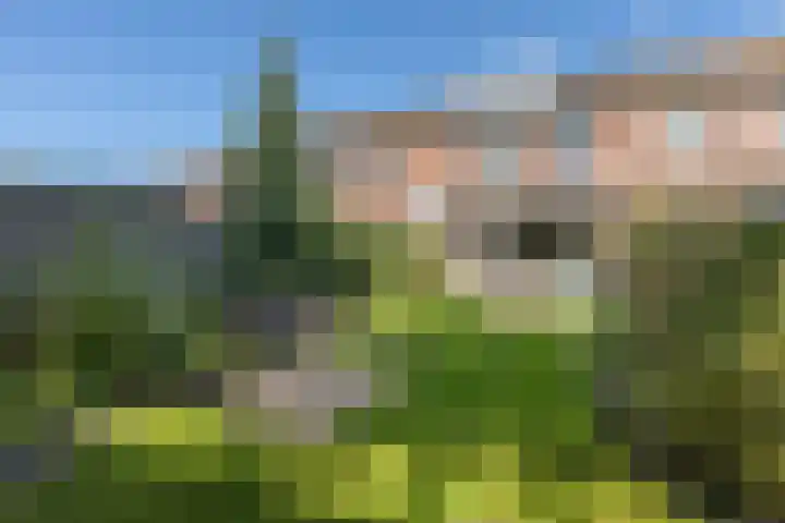 Biezenmeent 56 Hilversum thumbnail 50