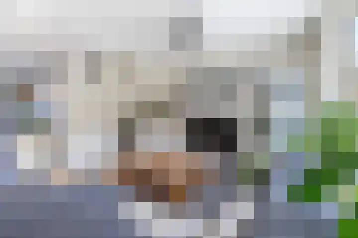 Biezenmeent 56 Hilversum thumbnail 9