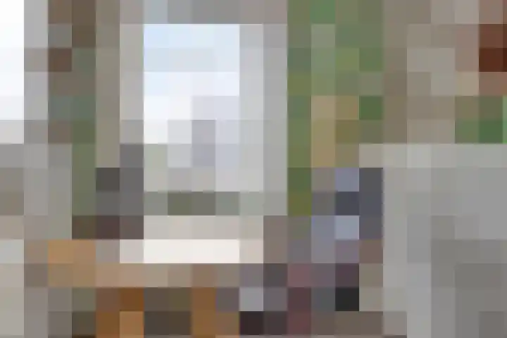 Biezenoever 5 Roelofarendsveen thumbnail 10
