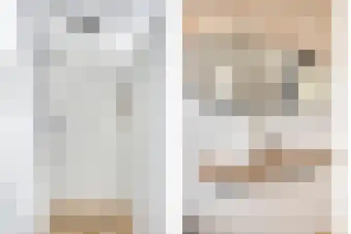 Biezenoever 5 Roelofarendsveen thumbnail 13