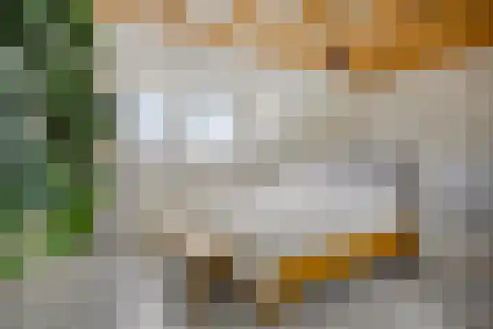 Biezenoever 5 Roelofarendsveen thumbnail 14