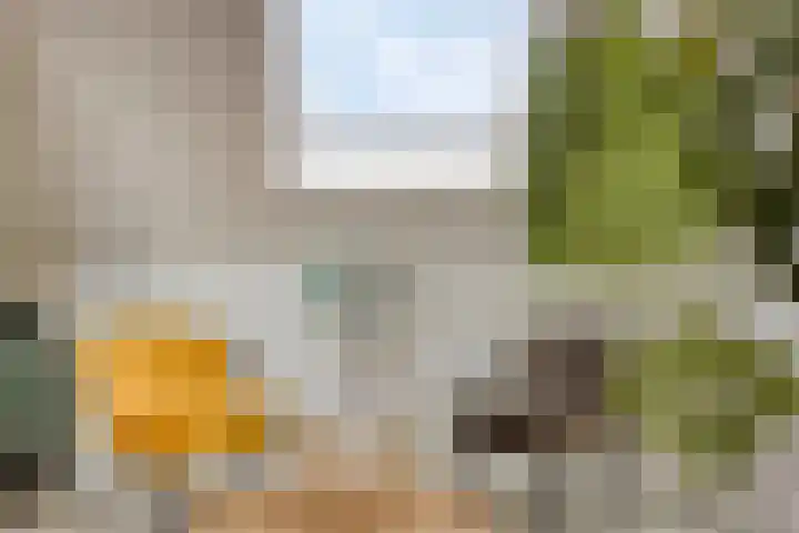 Biezenoever 5 Roelofarendsveen thumbnail 15