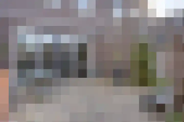 Biezenoever 5 Roelofarendsveen thumbnail 17