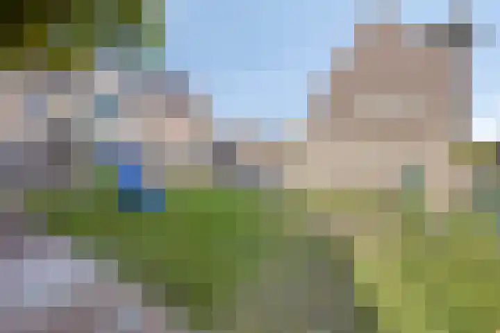 Biezenoever 5 Roelofarendsveen thumbnail 18