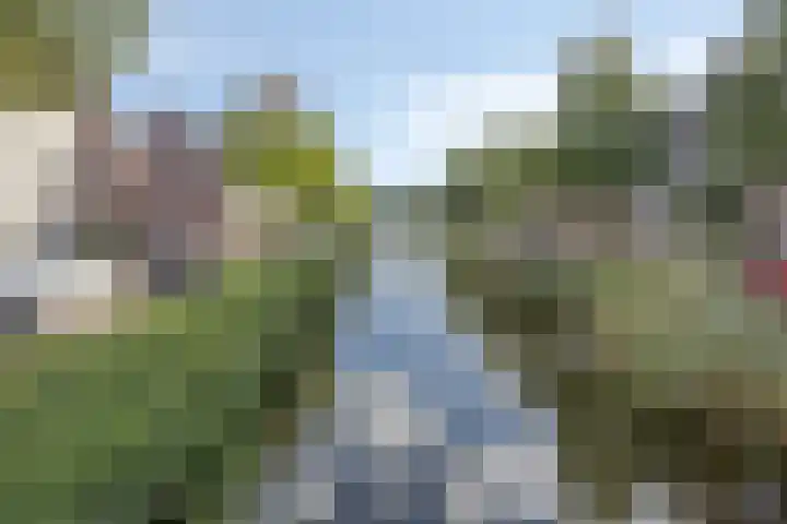 Biezenoever 5 Roelofarendsveen thumbnail 19