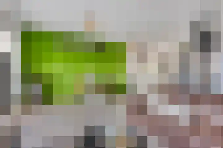 Biezenoever 5 Roelofarendsveen thumbnail 4