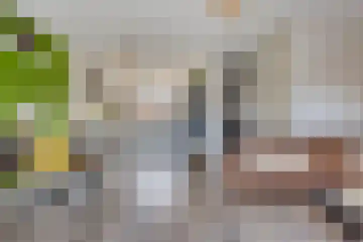 Biezenoever 5 Roelofarendsveen thumbnail 5