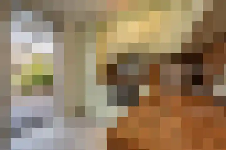 Biezensnijder 3 Puttershoek thumbnail 10