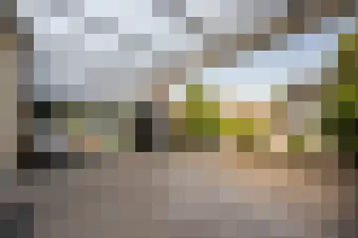 Biezensnijder 3 Puttershoek thumbnail 25