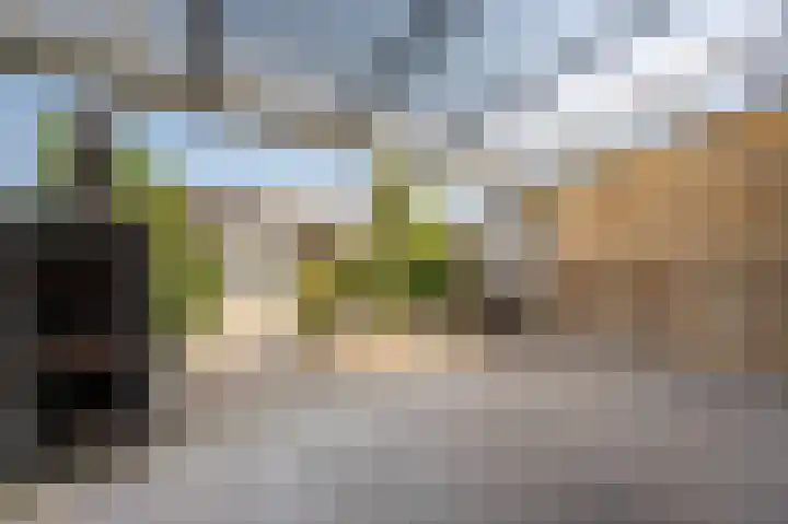 Biezensnijder 3 Puttershoek thumbnail 26