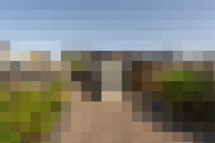 Biezensnijder 3 Puttershoek thumbnail 27