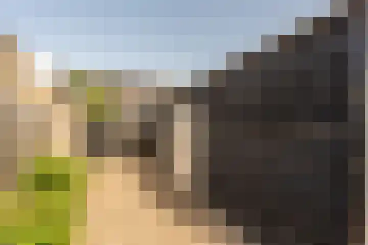 Biezensnijder 3 Puttershoek thumbnail 28