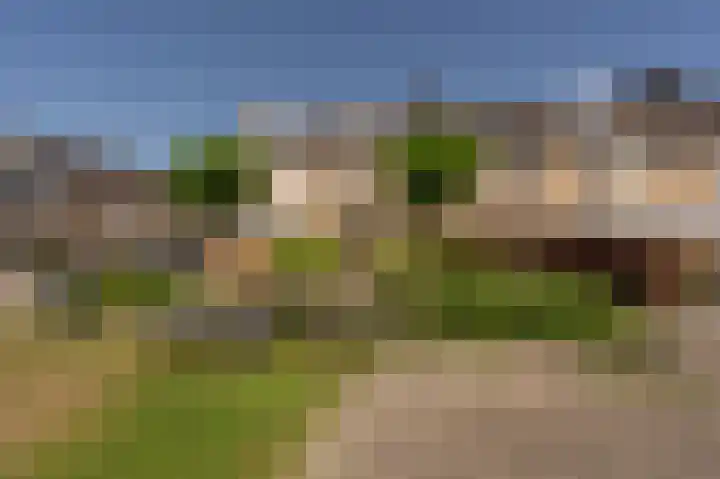 Biezensnijder 3 Puttershoek thumbnail 30