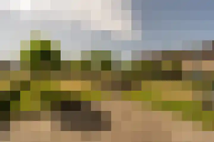 Biezensnijder 3 Puttershoek thumbnail 31