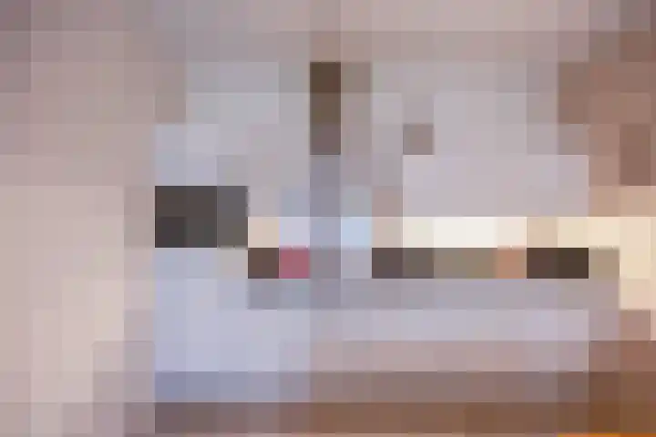 Biezenstraat 18 Almelo thumbnail 13