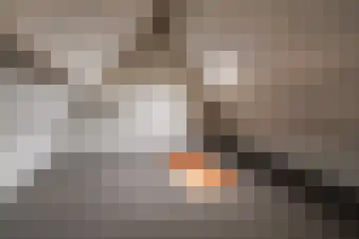Biezenstraat 18 Almelo thumbnail 20