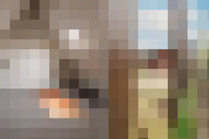 Biezenstraat 18 Almelo thumbnail 21