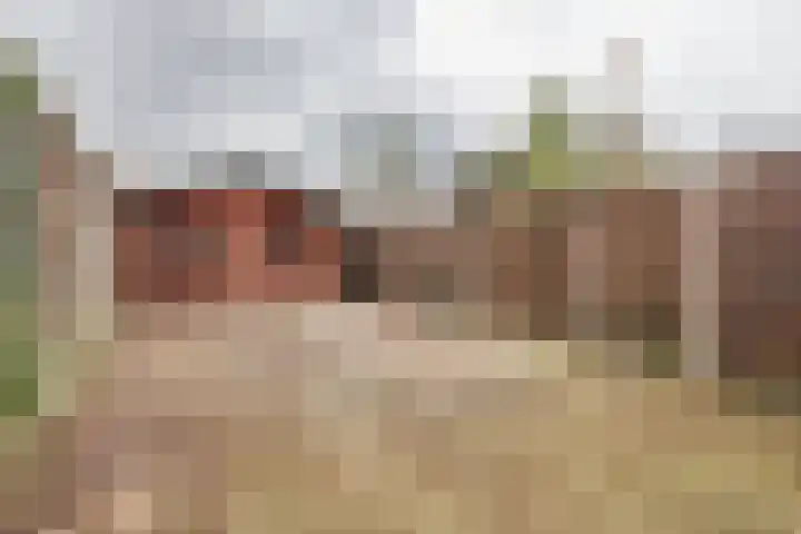 Biezenstraat 18 Almelo thumbnail 22