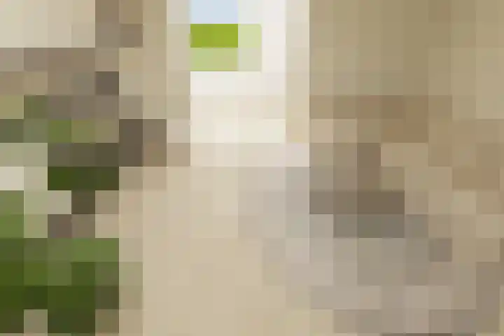 Biezenstraat 18 Almelo thumbnail 30