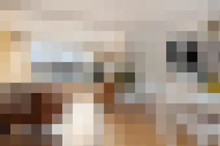 Biezenstraat 18 Geldrop thumbnail 11