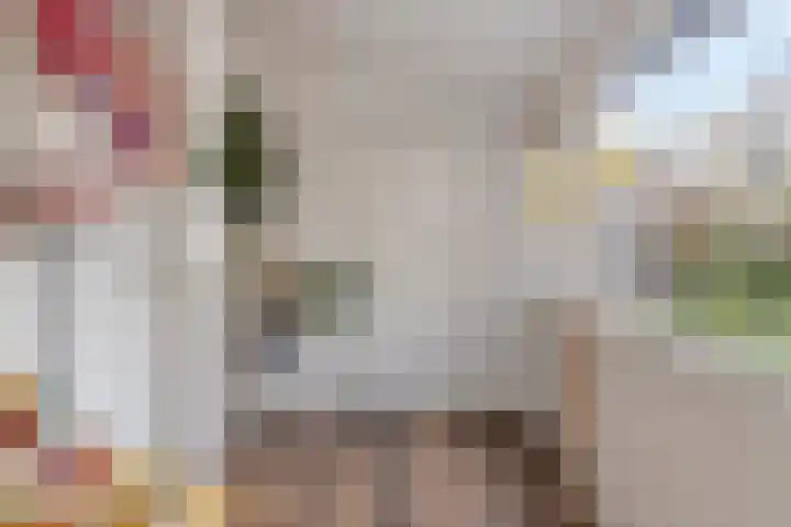 Biezenstraat 18 Geldrop thumbnail 16