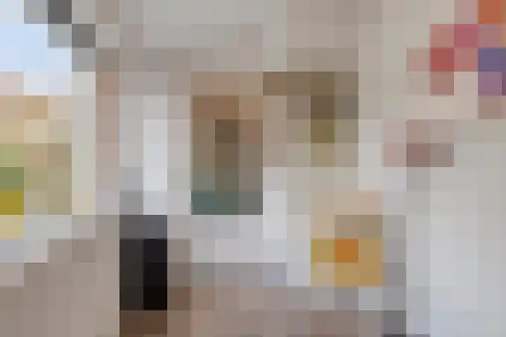 Biezenstraat 18 Geldrop thumbnail 17