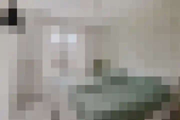 Biezenstraat 18 Geldrop thumbnail 20